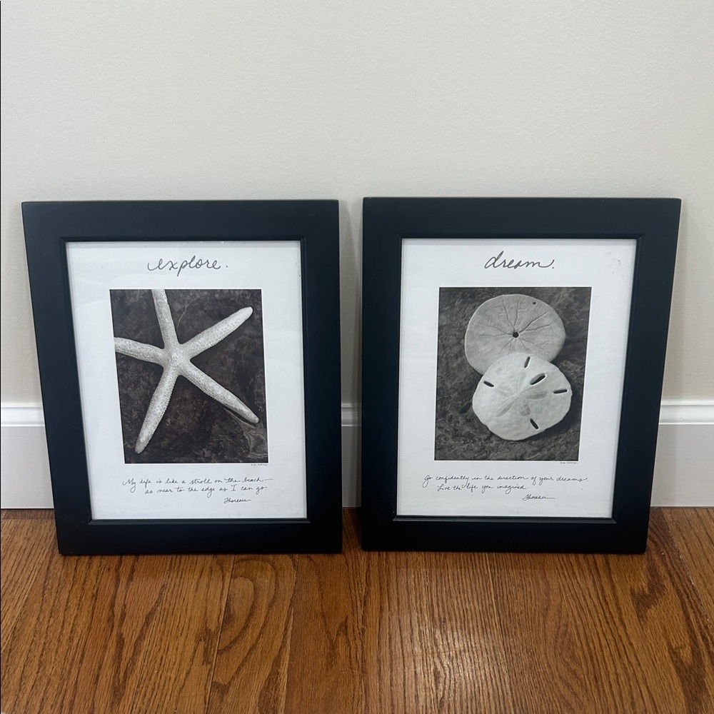 Black Framed Starfish and Sand Dollar Art Set